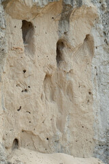 animal holes in limestone
