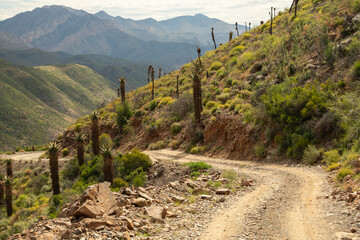 road on the mountain © Lindi
