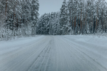 Fototapeta premium A Wintry Path Through a Chilly Forest with Snow Covered Trees. Winter road through snowy forest, tree lined and cold temperature.