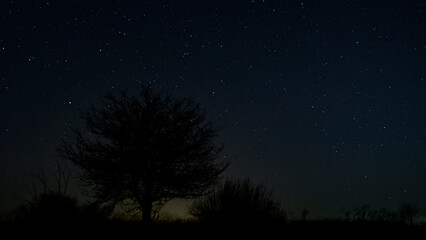 Fototapeta premium Stars in the night sky