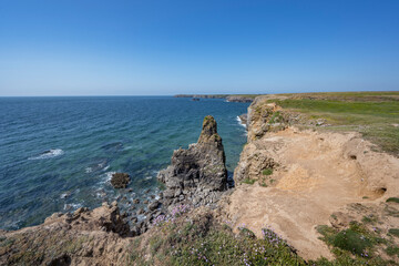 Cliff walk to Broad Haven South beach Pembrokeshire