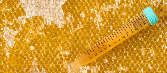 lab tube with honey  - testing honey for harmful substances and pesticides