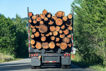 Close up view of the back of a loaded logging truck on a road in British Columbia, Canada with the...