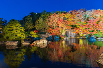 紅葉風景