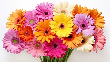 a cluster of vibrant gerbera daisies, their bold and cheerful colors arranged harmoniously on a clean white background, forming a lively and eye-catching floral composition.