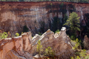 Fascinating cliff creation from decaying rocks in Providence Canyon