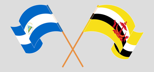 Crossed and waving flags of Nicaragua and Brunei