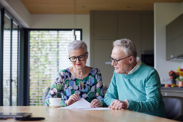 Senior couple sitting at table at home examining document