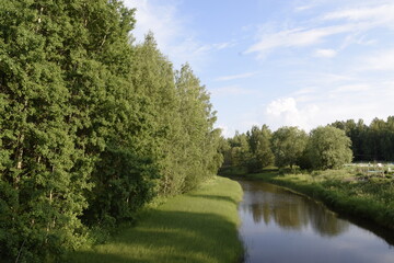 Fototapeta na wymiar Finnish nature, forest, river, sky