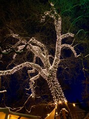 Wernigerode in der Weihnachtszeit