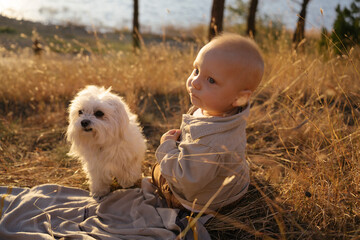 Cute baby boy sitting with dog at field