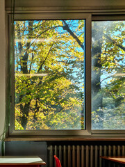 window in the autumn on a sunny day