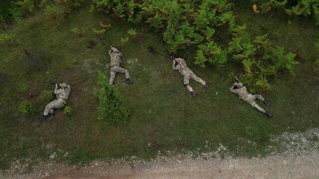 Aerial View of Four Armed Soldiers Hiding Behind the Fern in a Prone Position