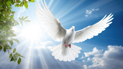 White dove is flying against a beautiful background of clouds, tree branches and warm rays of the sun. Freedom concept and international day of peace.