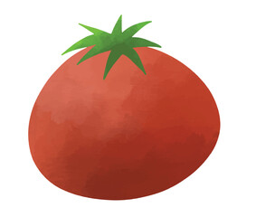 tomato illustration vector. PNG. red tomato hand drawn icon. fresh tomato