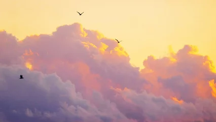 Foto op Canvas Colorful burning clouds in heaven and birds flaying © moreidea