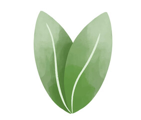 green leaves hand drawn. PNG. Vector. Vegan icon illustration. leaf icon.