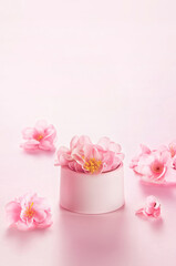 Fototapeta na wymiar Rose wallpaper for product display, displaying products on roses, pink background