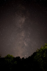 The milky way galaxy observed from a dark place in the middle of the wild forest. Planets in the starry night sky