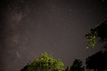The milky way galaxy observed from a dark place in the middle of the wild forest. Planets in the...