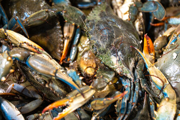 At the market in Athens