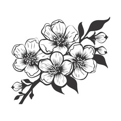 Illustration of a flower, isolated on transparent background.