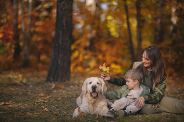 Smiling beautiful family of four walking in the park with a happy golden retriever and enjoying the beautiful autumn nature.
