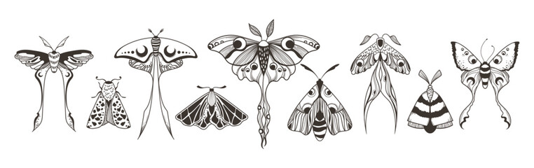Mystical celestial moth and butterfly clipart bundle, magic black and white insects silhouettes in vector, unreal hand drawn night moth, isolated elements set