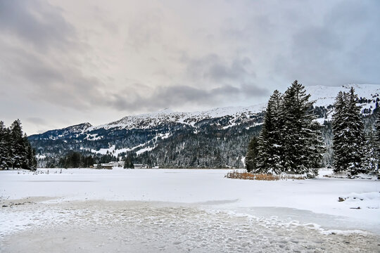 Lenzerheide, Valbella, Heidsee, Bergsee, Uferweg, Wanderweg, Winterwanderung, Langlauf, Loipe, Winterlandschaft, Seeufer, Alpen, Wald, Tannen, Eis, Winter, Graub&uuml;nden, Schweiz