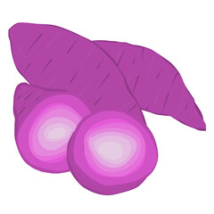 Purple sweet potato vector 