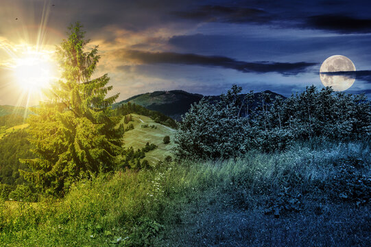 fir tree on a meadow in mountains landscape with sun and moon at twilight. day and night time change concept. mysterious countryside scenery in morning light