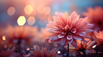 Beautiful Flower Lembang, HD, Background Wallpaper, Desktop Wallpaper