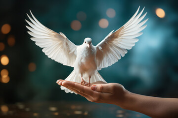 White dove flying to the sky, peace, pacifism and consciousness, purity and postive emotion, love and freedom, holy spirit, pigeon bird - obrazy, fototapety, plakaty