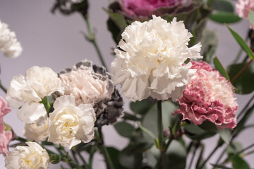 Beautiful bouquet of pink, grey and white carnation flowers, fresh eucalyptusas and violet brassica flower.