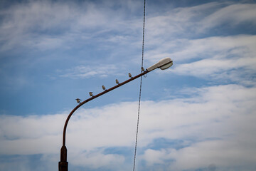 A street light pole against a background of blue sky and white clouds