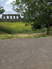 old stone bridge in the park