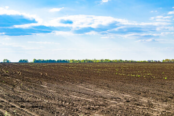 Fototapeta na wymiar Photography on theme big empty farm field for organic harvest