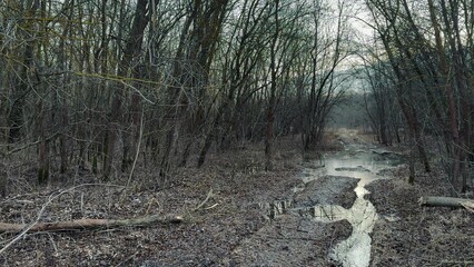 off-road. muddy way in the forest early spring just melted the snow. road dirt water puddles off-road in the forest. xtreme path forest no lifestyle road water mud puddles