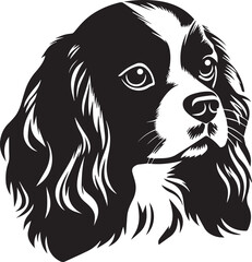 cavalier king charles spaniel