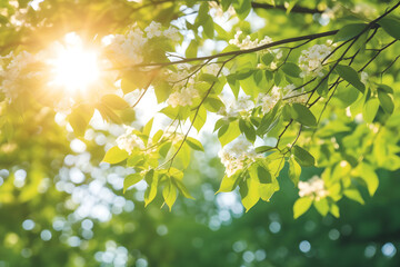 Obraz premium Elegance with an Autumnal Touch: White Flowers and Yellow Leaves Embrace the Season