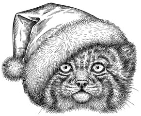 Vintage engraving isolated manul set dressed christmas illustration ink santa costume sketch. Palla's cat background silhouette kitten new year hat art. Black and white hand drawn image