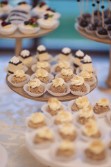 A variety of delicious desserts, cakes with cream, berries, whipped cream, marshmallows, festive decor, sweet bar, a treat.  catering food. tasty dessert. Wedding banquet table. pastry on sweet buffet