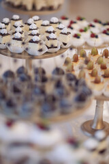 Closeup view photography of many small souffle cakes served on plate on table for cocktail party or on shelves of store. Christmas, birthday or wedding holiday dinner. catering food. tasty dessert.