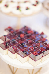 Closeup view photography of many small souffle cakes served on plate on table for cocktail party or on shelves of store. Christmas, birthday or wedding holiday dinner. catering food. tasty dessert.