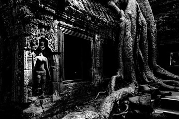 Naklejka premium Tempel Ankor Wat
