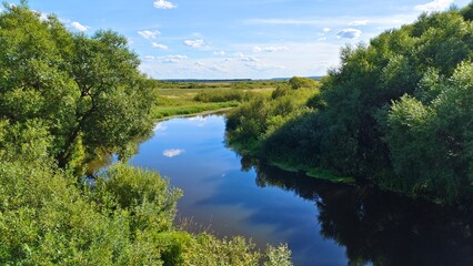 Fototapeta na wymiar A small river flows between grassy meadows with bushes and trees and a forest on the horizon. Calamus grows in the water near the banks and reflects the sky with clouds. Sunny summer weather