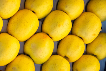Appetizing and healthy boxed yellow apples for sale at a street market