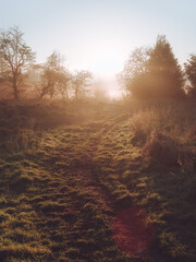 A path leading to a foggy sun rise