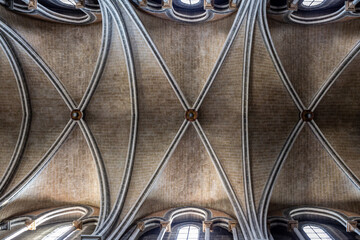 Medieval Cathedral vault ceiling