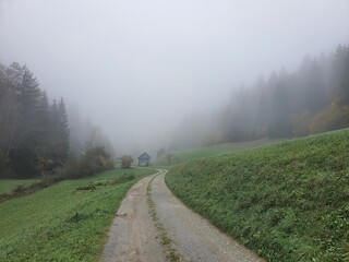 Fototapeta na wymiar Path leads into foggy landscape with green rolling hills and surrounded by forest